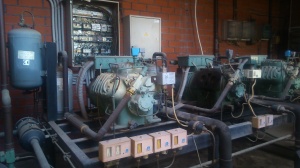 компрессор битцер BITZER 6H-25.2Y-40P и конденсатор FRIGA BOHN WA 81 04/06P.