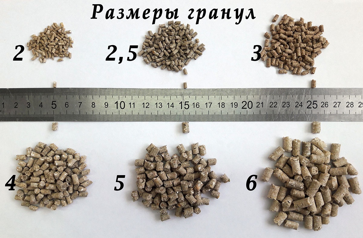 Бизнес план производства комбикорма в гранулах