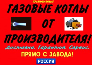 Котел газовый промышленный цена