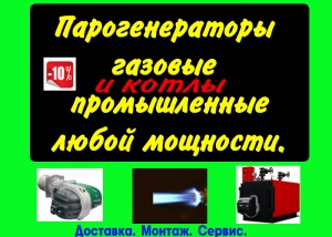 Котел газовый промышленный цена