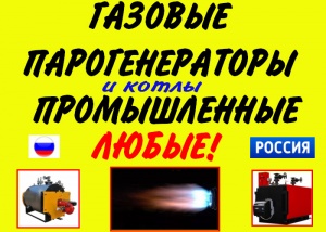 Котел газовый промышленный цена