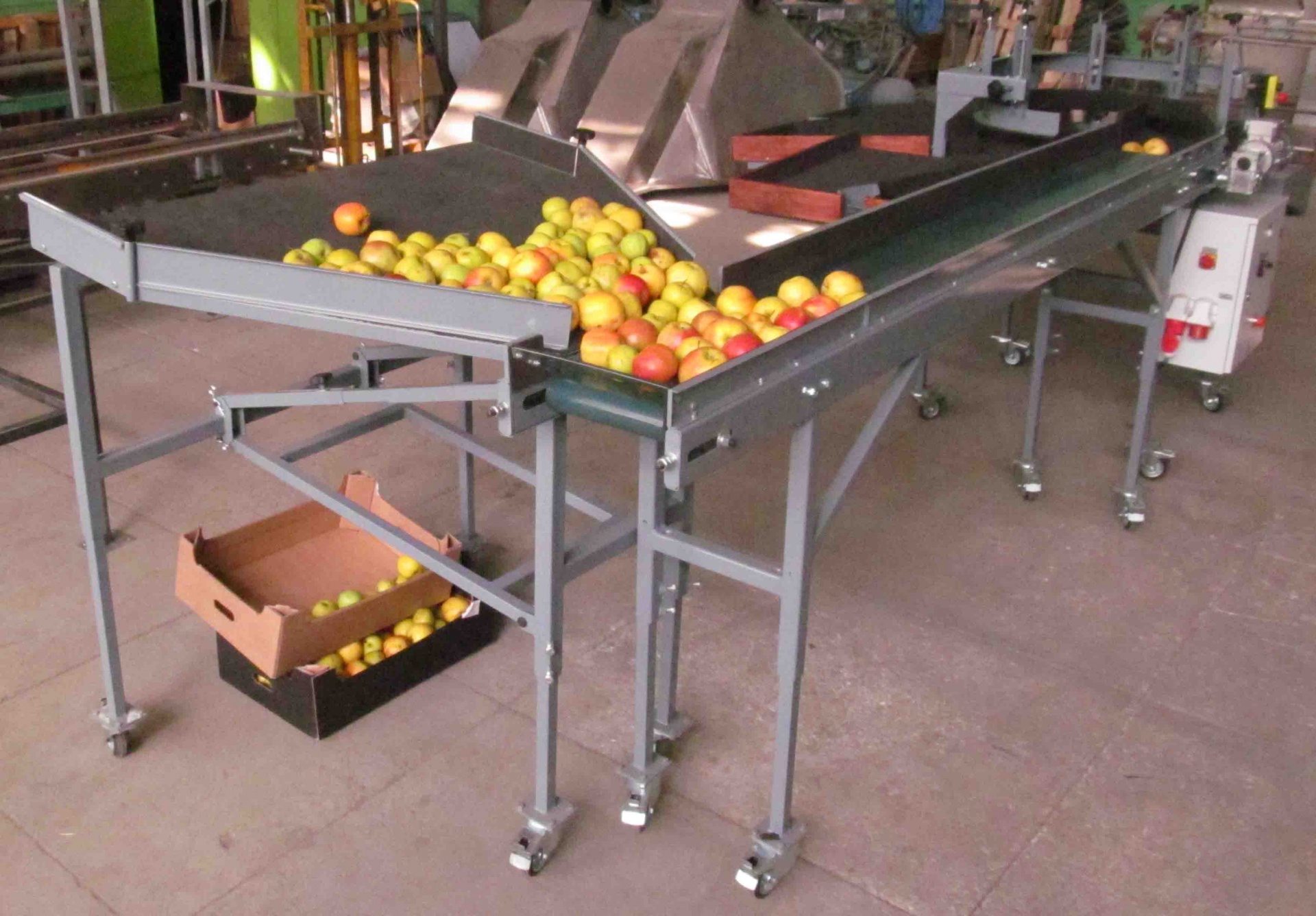 Линия калибровки и сортировки фруктов (яблок) УКФ-1.6Ф