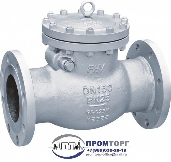 Клапаны обратные поворотные 19нж53нж