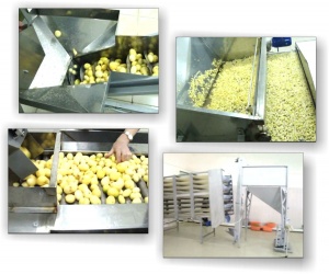 Линия для производства картофельных чипсов с производительностью до 1000 т/час.(картофель)