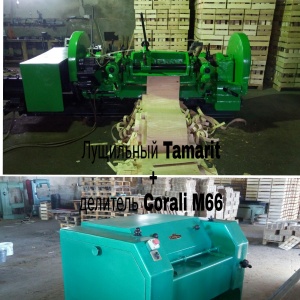 Лущильный станок Tamarit & Делитель роторный Corali M66