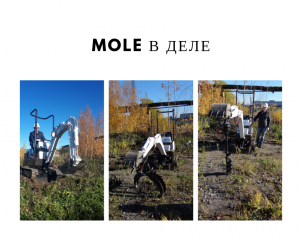 Мини экскаватор MOLE