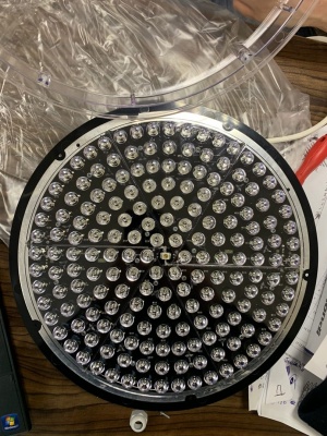 Модули светофорные светодиодные, диаметр 300 мм