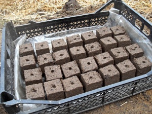 Установка производства капсульного почвообразователя из сапропеля
