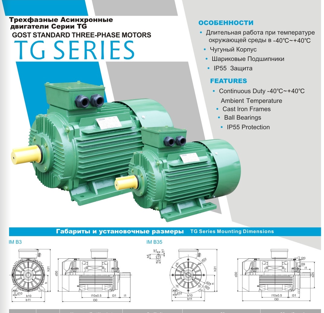 Трёхфазные асинхронные двигатели серии TG купить в Yantai - Биржа  оборудования ProСтанки