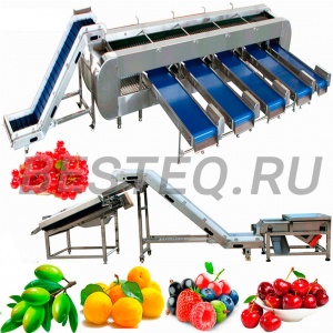 Линии переработки фруктов и ягод