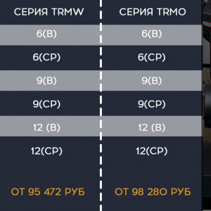 Термостат TRMW-9(CP)
