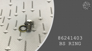 BS RING - 86241403