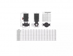 Вертикальный центробежный насос Fancy FTD150-22G/4