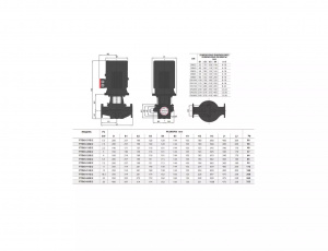 Вертикальный центробежный насос Fancy FTD65-15G/2