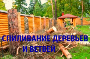 Спиливание деревьев