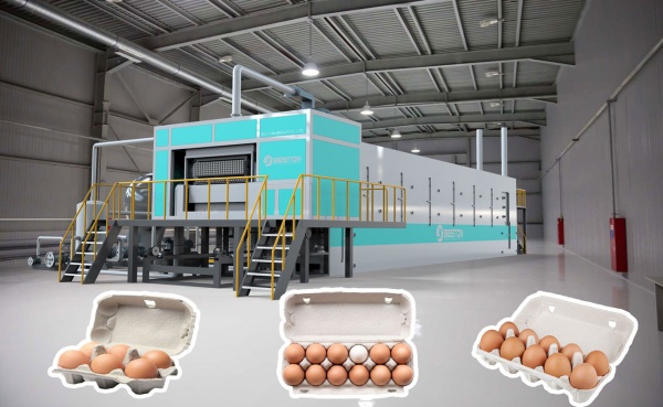 Egg Carton Making Machine