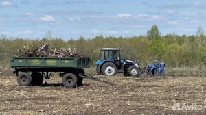 Расчистка заросших полей от деревьев от 1 Га