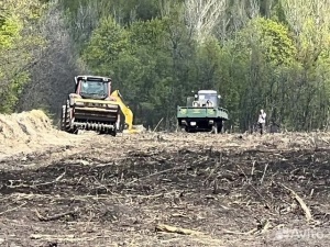 Расчистка заросших полей от деревьев от 1 Га